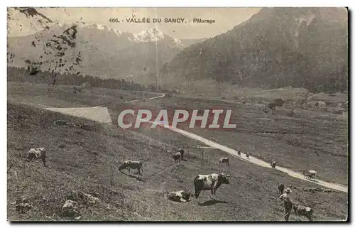 Cartes postales Other Vallee Du Sancy Paturage