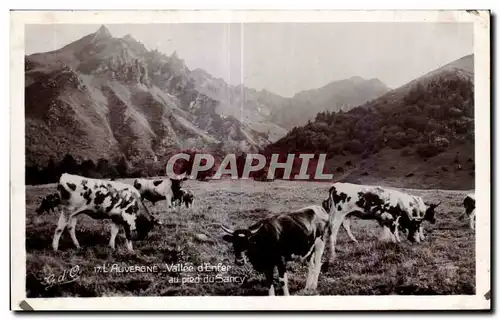 Ansichtskarte AK L Auvergne Vallee d Enter au pied du Sancy