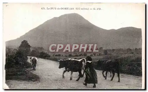 Cartes postales Other Le Puy de Dome Vaches