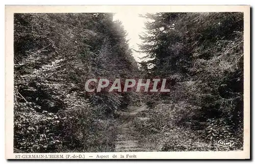 Cartes postales St Germain L Herm (P de D) Aspect de la foret