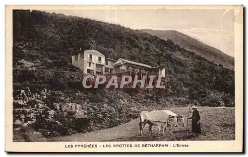 Ansichtskarte AK Les Pyrenees les grottes de betharram L Entree paysanne et vaches