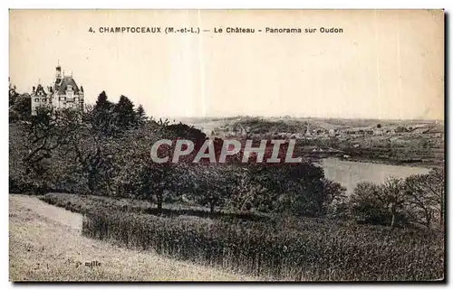 Cartes postales Champtoceaux (m et L) Le Chateau Panorama sur Oudon