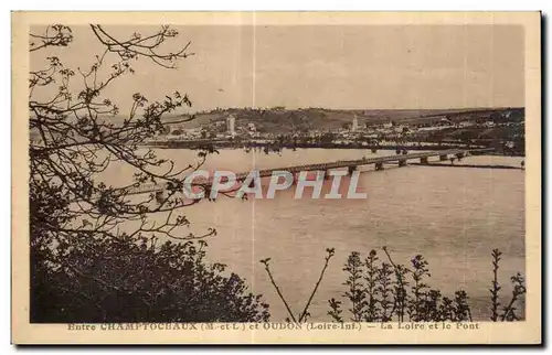 Ansichtskarte AK Champtoceaux (m et L) et Oudon (Loire Inf) La Loire et le Pont