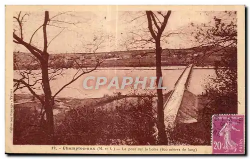 Cartes postales Champtoceaux (M et L) Le pont sur la Loire (800 metres de long)