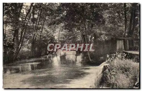 Ansichtskarte AK Cosne sur Loire (Nievre) Les Bords du Nohain