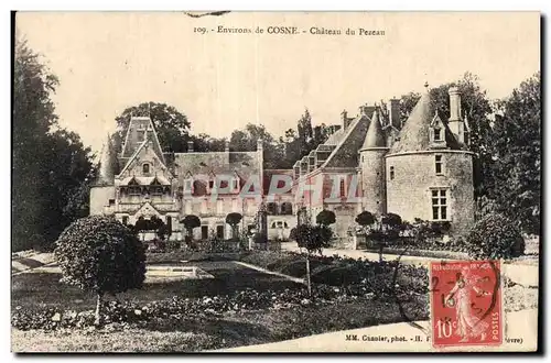 Cartes postales Environs de Cosne Chateau du Pezeau