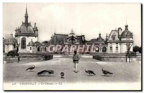 Cartes postales Chantilly Le chateau