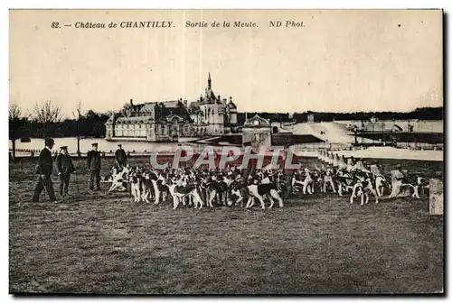 Cartes postales Chateau de Chantilly Sortie de la Meute Chiens Dogs