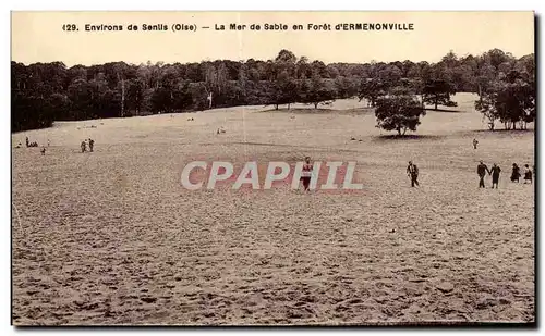 Ansichtskarte AK Environs de Senlls (Oise) Le Mer de Sable en Foret d Ermenonville