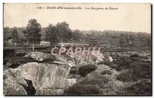 Ansichtskarte AK Ermenonville Les Bruyeres du Desert