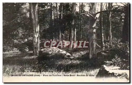 Ansichtskarte AK Mortefontaine (Oise) Parc de Valliere Sous Bois Roches de Gres