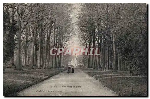 Cartes postales Flers Une allee du parc