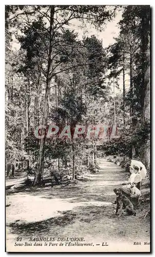 Cartes postales Bagnoles De L orne Sous Bois Dans le Parc de l Etablissement LL