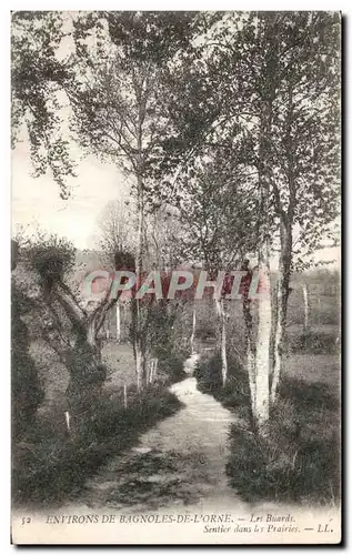 Cartes postales EnvironsDe Bagnoles De L Orne Les Buards Sentier dans Prairies LL