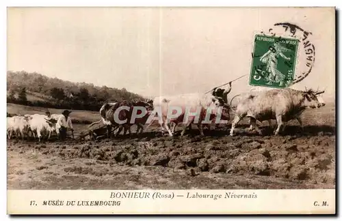 Cartes postales Other Bonheur (Ropsa Labourage Nivernais