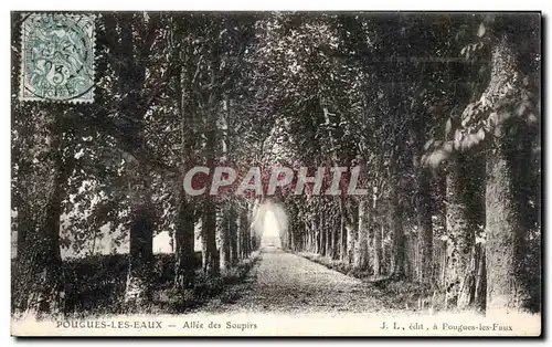 Cartes postales Pougues Les Eaux Allee des Soupirs