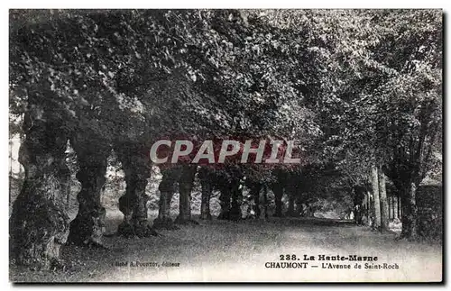 Ansichtskarte AK La Haute Marne Chaumont L Avenue de Saint Roch