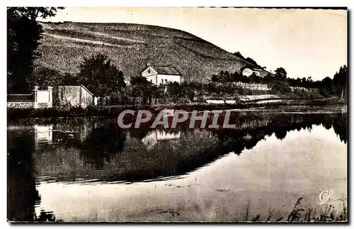 Cartes postales moderne Epernay Coteau de Mareuil sur Ay La bouteille