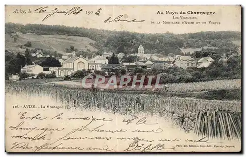 Ansichtskarte AK Au pays du champagne les vignobles de la montagne d Avize et de vertus