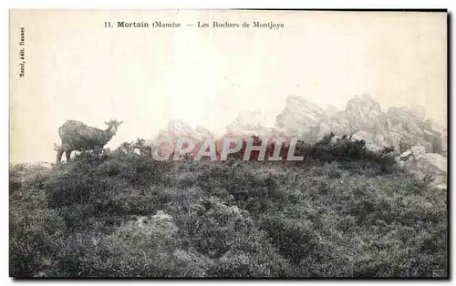 Cartes postales Mortain Les rochers de Montjoye Chevre Goat