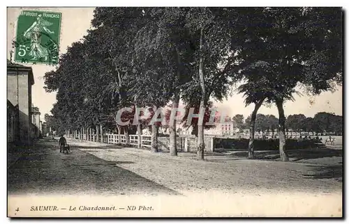 Cartes postales Saumur Le Chardonnet