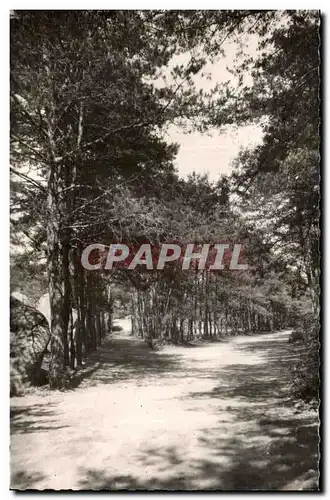 Cartes postales Malesherbes (Loiret) Buthiers Chemin d Auxy