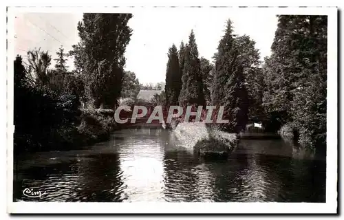 Cartes postales moderne Meung sur Loire Les Mauves aux Marais