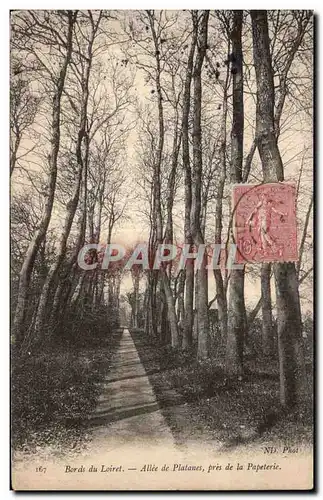 Cartes postales Bords du Loiret Allee de Platanes pres de la Papeterie