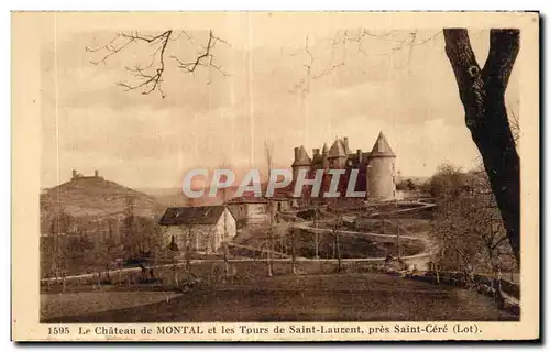 Cartes postales Le Chateau de Montal les Tours de Saint laurent pres Saint Cere (Lot)