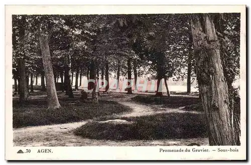 Cartes postales Agen Promenade du Gravier Sous bois