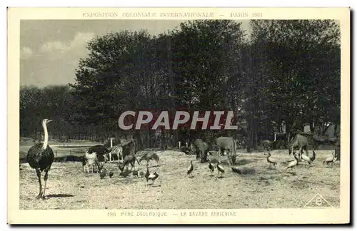 Cartes postales Paris Exposition coloniale internationale 1931 Parc zoologiqueLa savane africaine Autruche