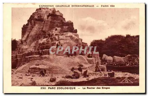 Ansichtskarte AK Exposition coloniale intenationale Paris 1931 Parc zoologique le rocher des singes Monkey Zoo