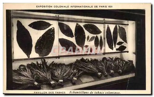 Ansichtskarte AK Exposition Coloniale Internationale De pavillon des tabacs echantillons de tabacs coloniaux