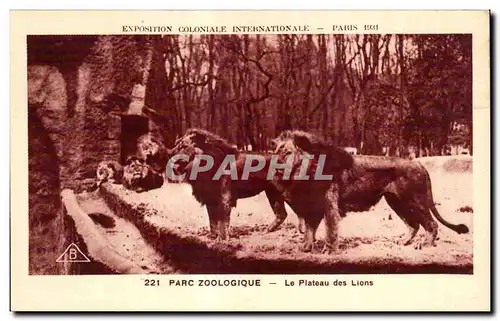 Ansichtskarte AK - Exposition Coloniale Internationale - Paris 1931 Parc Zoologique Plateau des lions Zoo