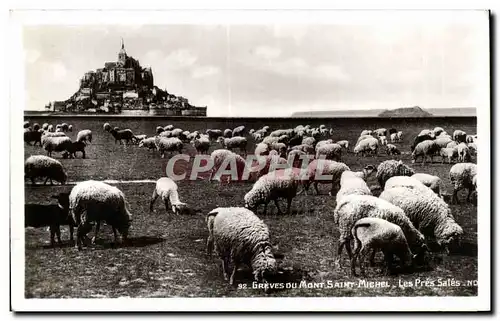 Cartes postales Mont Sant Michel - Les Pres Sale Les greves