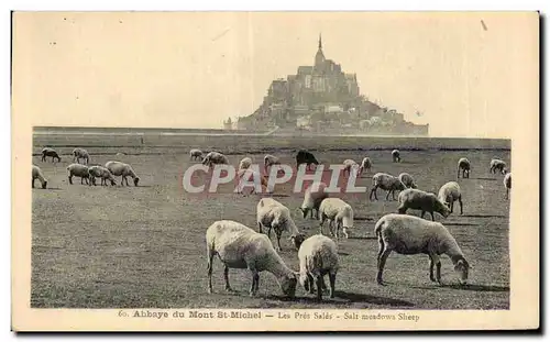 Cartes postales Abbaye du mont st michel Les pres sales Moutons Sheep