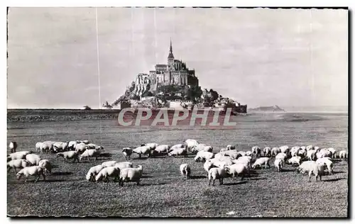 Ansichtskarte AK Le celebres pres sales du mont saint michel