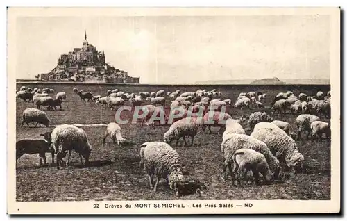 Ansichtskarte AK Groves du mont st michel les pres sales