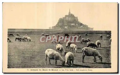 Ansichtskarte AK Abbaye du mont st michel les pres sales salt meadows sheep