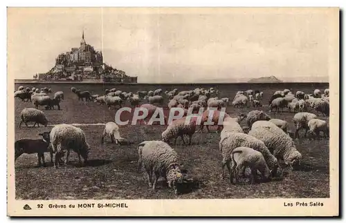 Cartes postales Graves du mont st michel Moutons Sheep