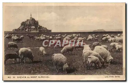 Ansichtskarte AK Greves du mont st michel Moutons Sheep