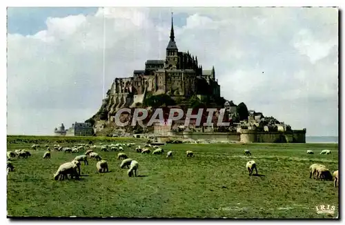 Ansichtskarte AK Le mont saint michel et les pres sales Moutons Sheep