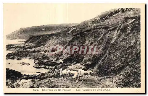 Ansichtskarte AK Environs de Cherbourg Les Falaises de Greville Moutons Sheep