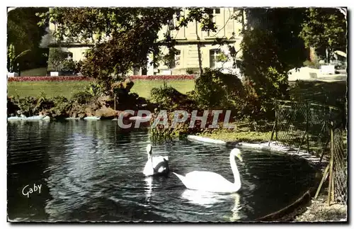 Cartes postales Fontenay Le Comte (Vendee) Jardin de I Hotel de Ville Cygne Swan