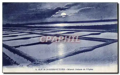 Ansichtskarte AK Noirmoutier Marais salants de l Epine
