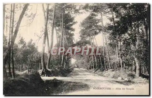 Cartes postales Noirmoutier Allee das Soupire