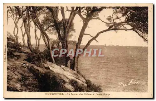 Cartes postales Noirmoutier Du Sentier des Chevres L Ants Ronge