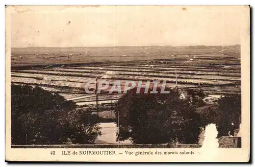 Cartes postales Noirmoutier ILe De Vue generale des marais salants