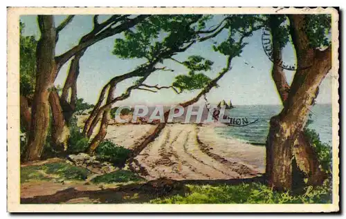 Cartes postales L Ile De Noirmoutier Bois de la Cbaize