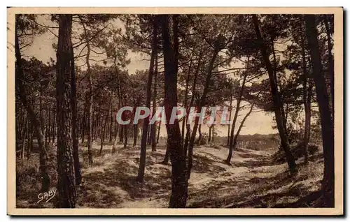 Cartes postales La Tranche Sur Mer (Vendee) La Foret